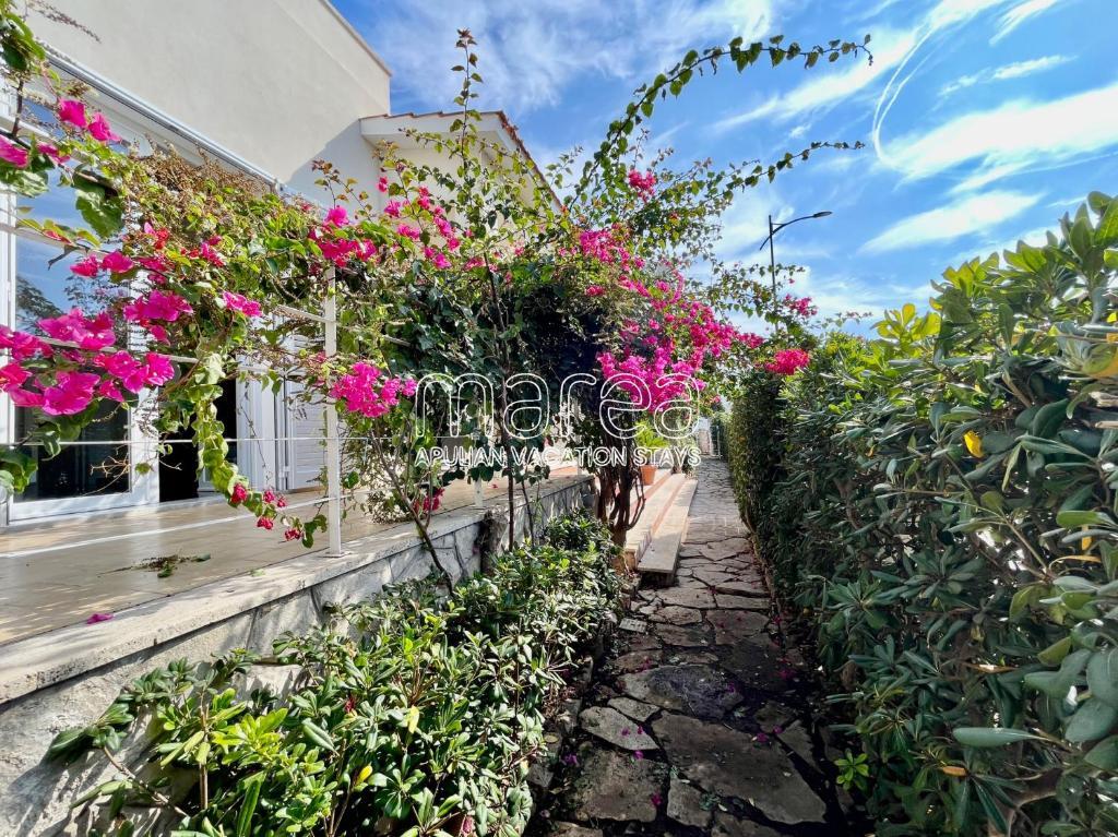 Villa Nauna, Fronte Mare Con Giardino E Terrazzo - Marea Collection ナルド エクステリア 写真